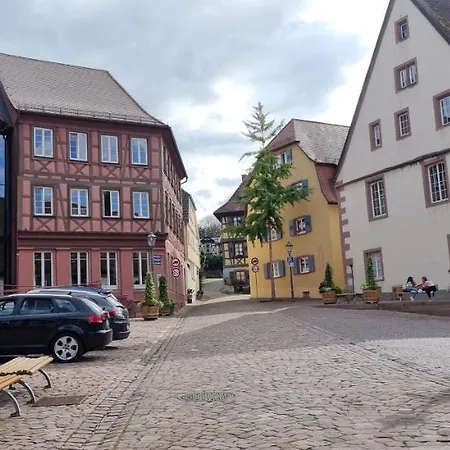 Appartement Am Kirchberg Europa-park Spassbad-rulantica-schwarzwald ,frankreich, Ettenheim